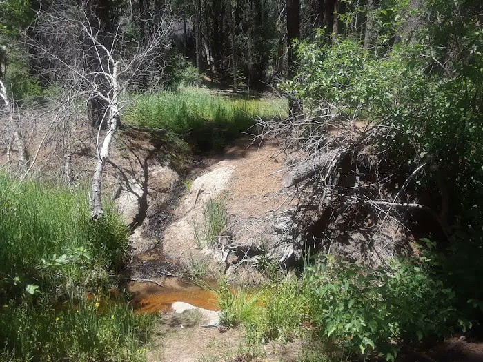 Lower Chiquito Campground Picture 4