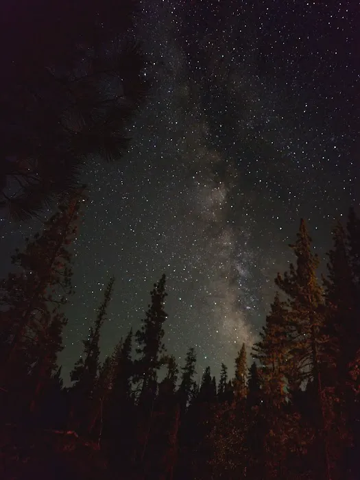 Lower Chiquito Campground Picture 9
