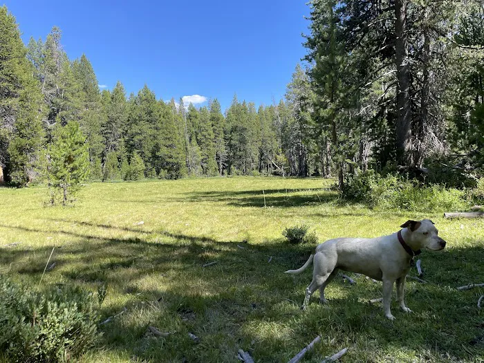 Sample Meadow Campground Picture 3
