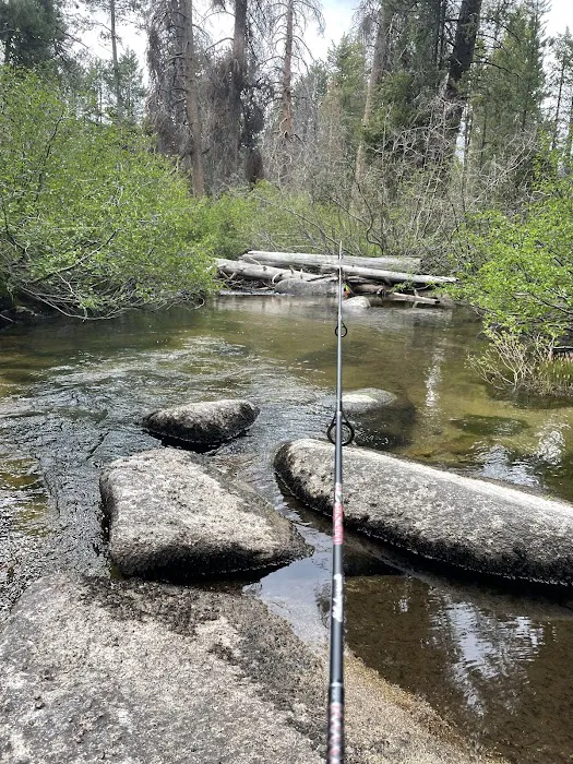 Sample Meadow Campground Picture 4