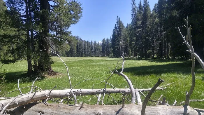 Sample Meadow Campground Picture 5