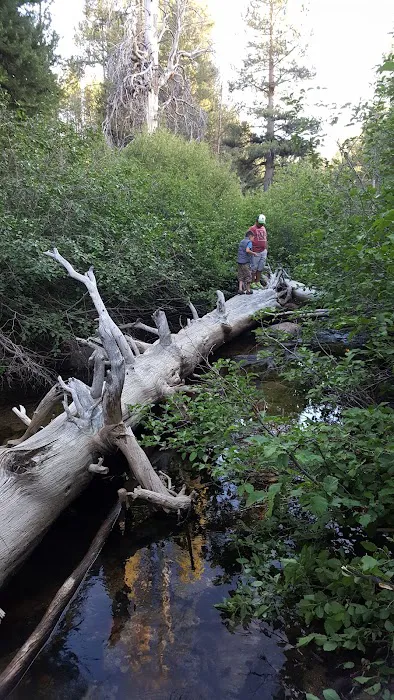 Sample Meadow Campground Picture 9