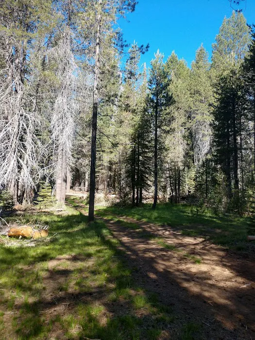 Far Meadow Picture 3