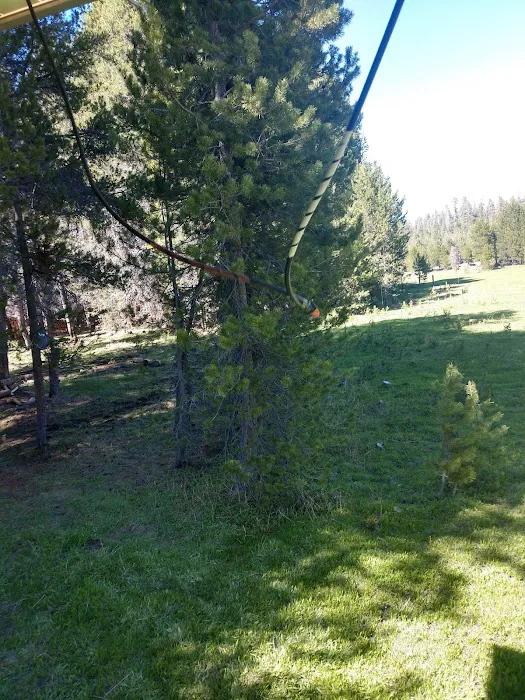 Far Meadow Picture 4
