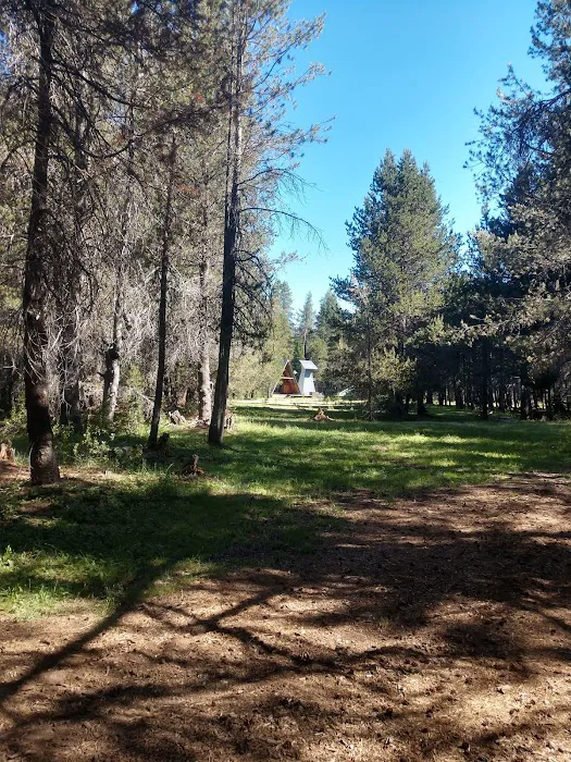 Far Meadow Picture 10