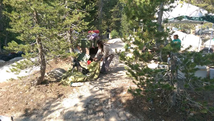 Marmot Rock Campground Picture 10