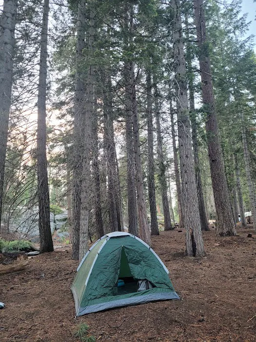 College Campground Picture 8