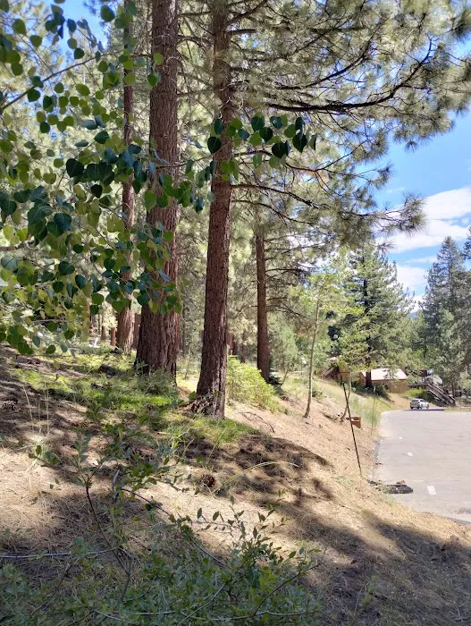 College Campground Picture 10