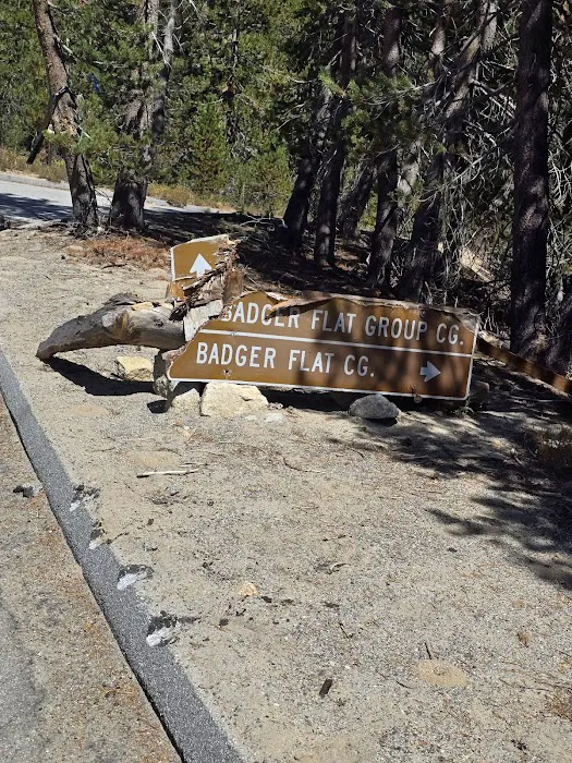Badger Flat Campground Picture 2