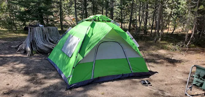 Badger Flat Campground Picture 8