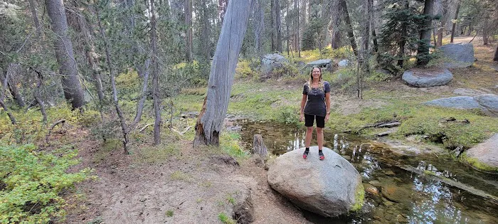 Badger Flat Campground Picture 7