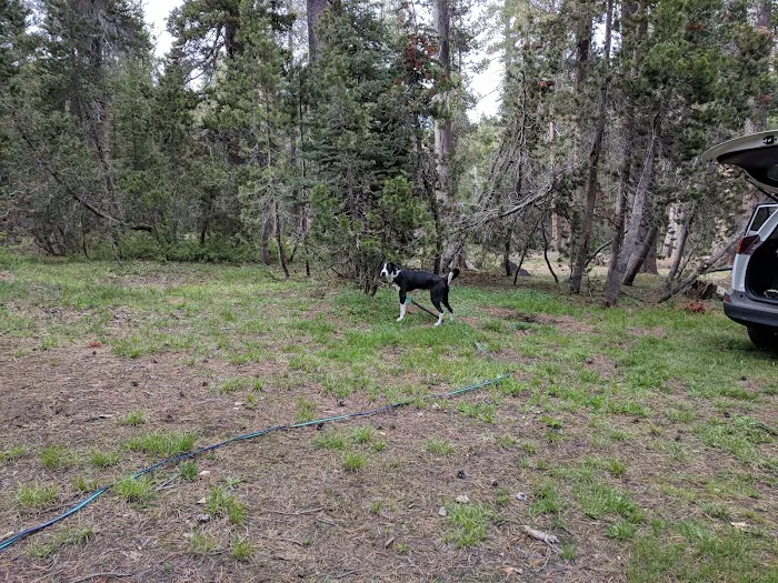 Badger Flat Campground Picture 4