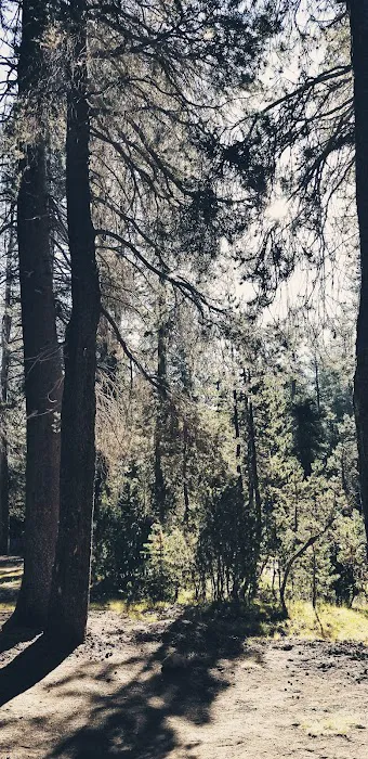 Badger Flat Campground Picture 5