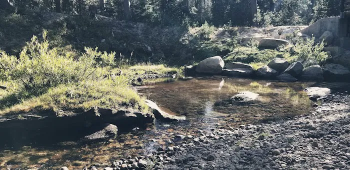 Badger Flat Campground Picture 6