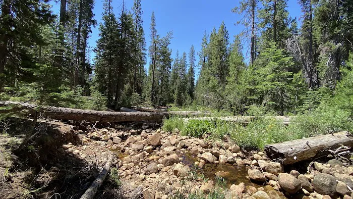 Bowler Group Campground Picture 3