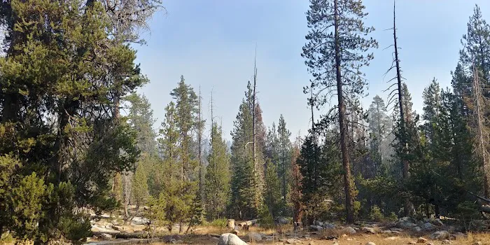 Clover Meadow Campground Picture 2