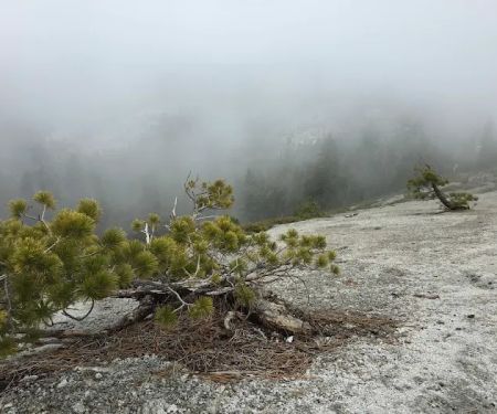 Clover Meadow Campground
