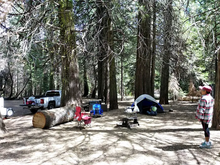 Kelty Meadow Campground Picture 1
