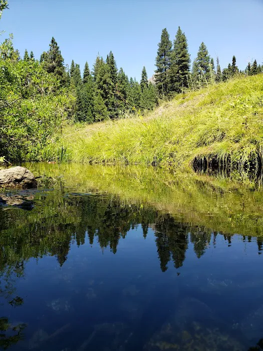 Kelty Meadow Campground Picture 6