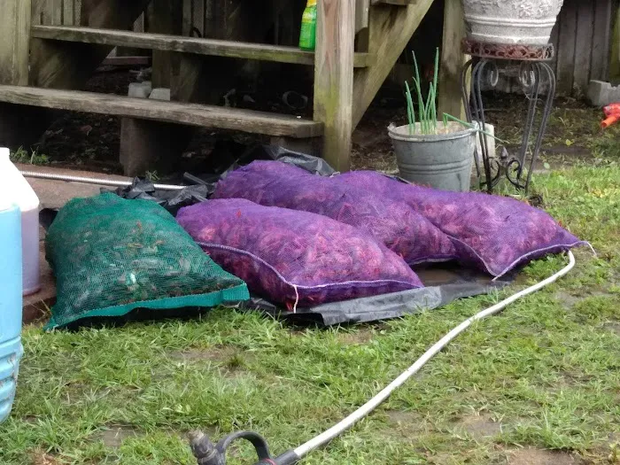 Longacre Trailer Park Picture 2