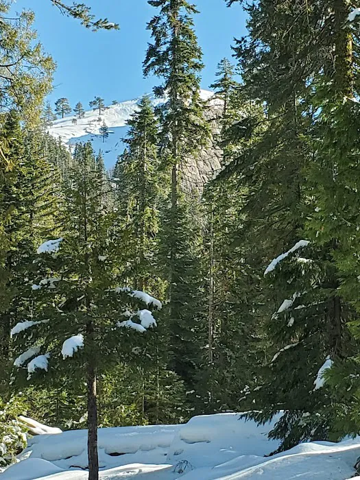 Fresno Dome Campground Picture 2