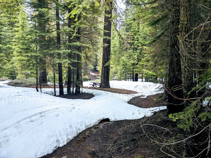 Fresno Dome Campground Picture 5
