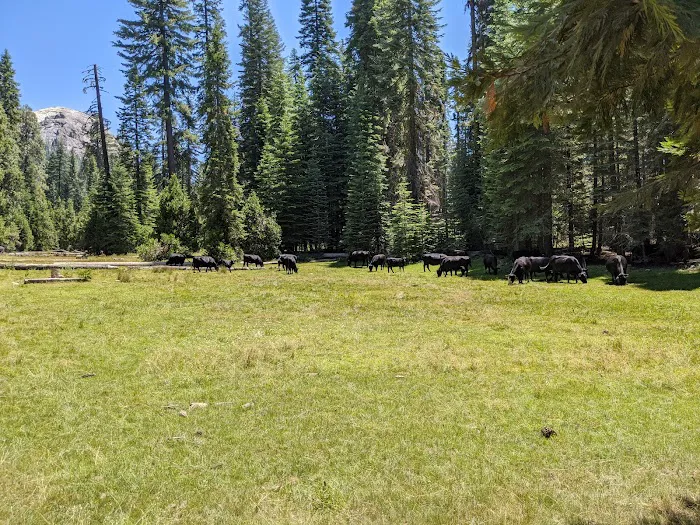 Fresno Dome Campground Picture 3