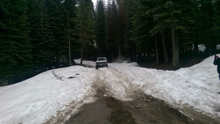 Fresno Dome Campground Picture 8