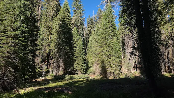 Little Sandy Campground Picture 4