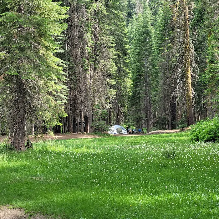 Little Sandy Campground Picture 3