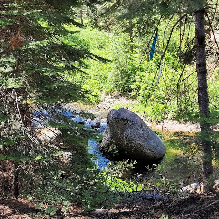 Little Sandy Campground Picture 9