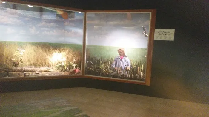 Shandy Acres Mobile Village Picture 3