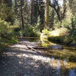 Big Sandy Campground