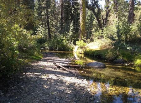 Big Sandy Campground