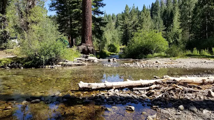 Big Sandy Campground Picture 3