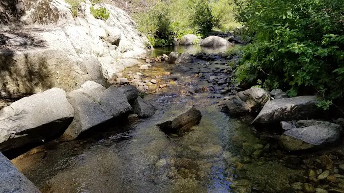Big Sandy Campground Picture 5