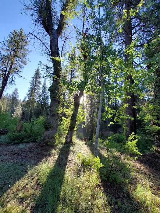 Big Sandy Campground Picture 9