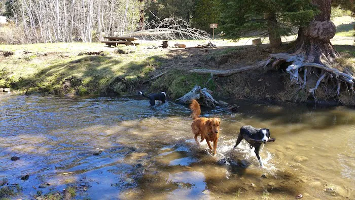 Big Sandy Campground Picture 10