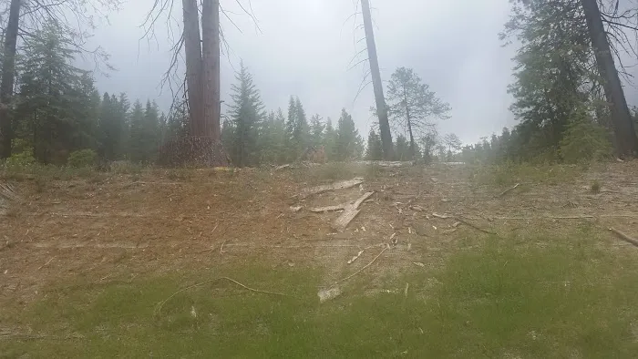 Summerdale Campground Picture 7