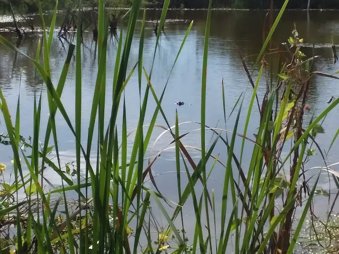 Channelview RV Park Picture 7
