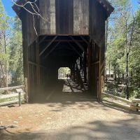 Pioneer Yosemite Campground Reservation ico