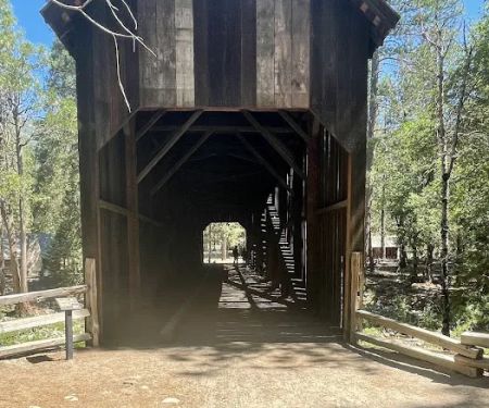 Pioneer Yosemite Campground Reservation