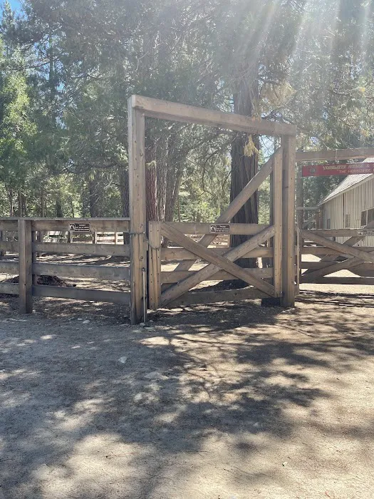 Pioneer Yosemite Campground Reservation Picture 4