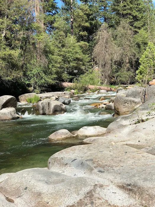 Pioneer Yosemite Campground Reservation Picture 9