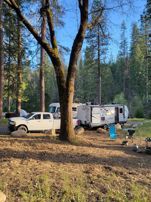 Wawona Campground Picture 3