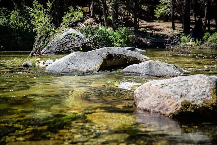 Wawona Campground Picture 4