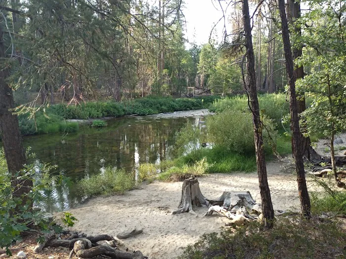 Wawona Campground Picture 6