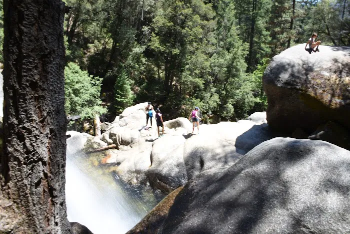Wawona Campground Picture 10