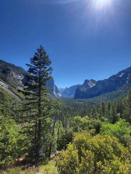 Wawona Campground Picture 9