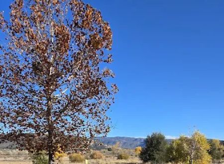 Lake Morena County Park Campground